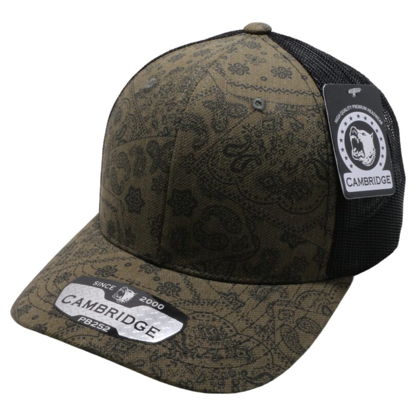 PB252 Paisley Trucker - Image 3