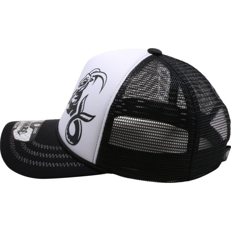 Amaze in Zodiac Sponge Trucker - Image 194