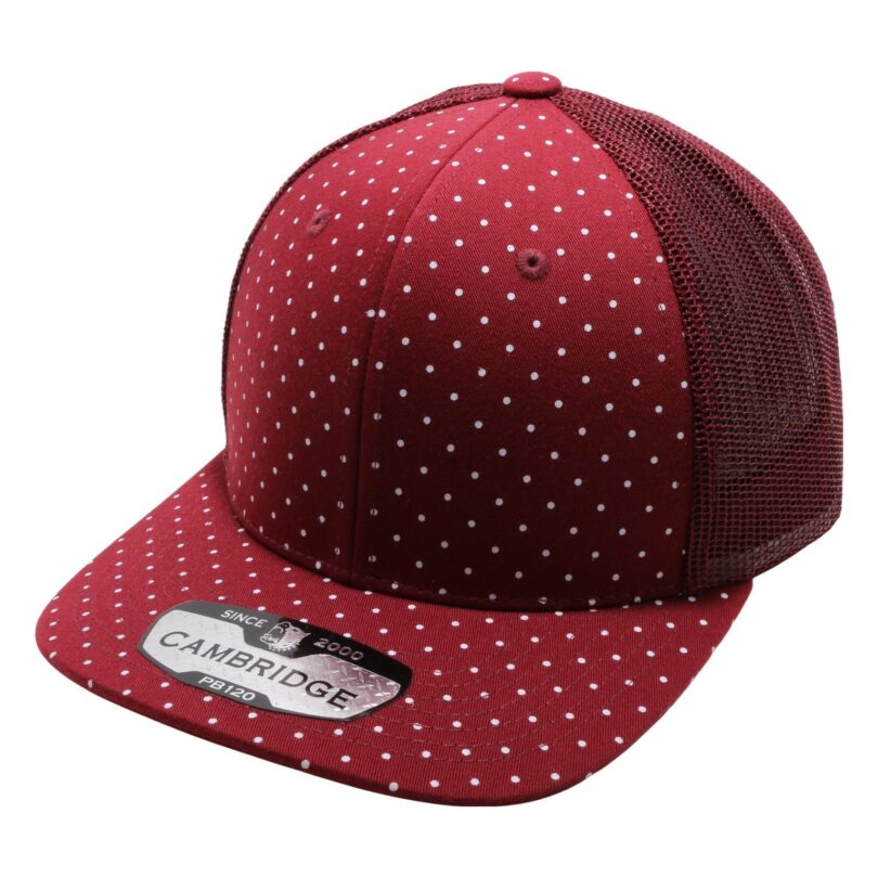 PB120C  Polkadot Trucker - Image 23