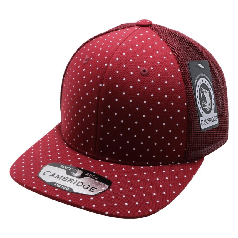 PB120C  Polkadot Trucker - Image 11