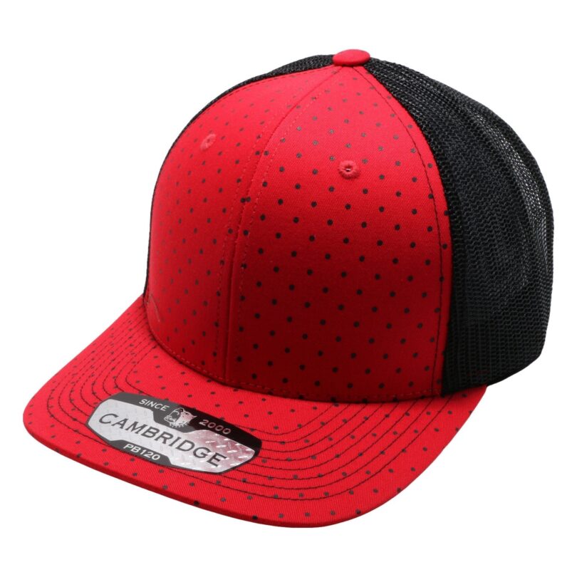 PB120C  Polkadot Trucker - Image 14
