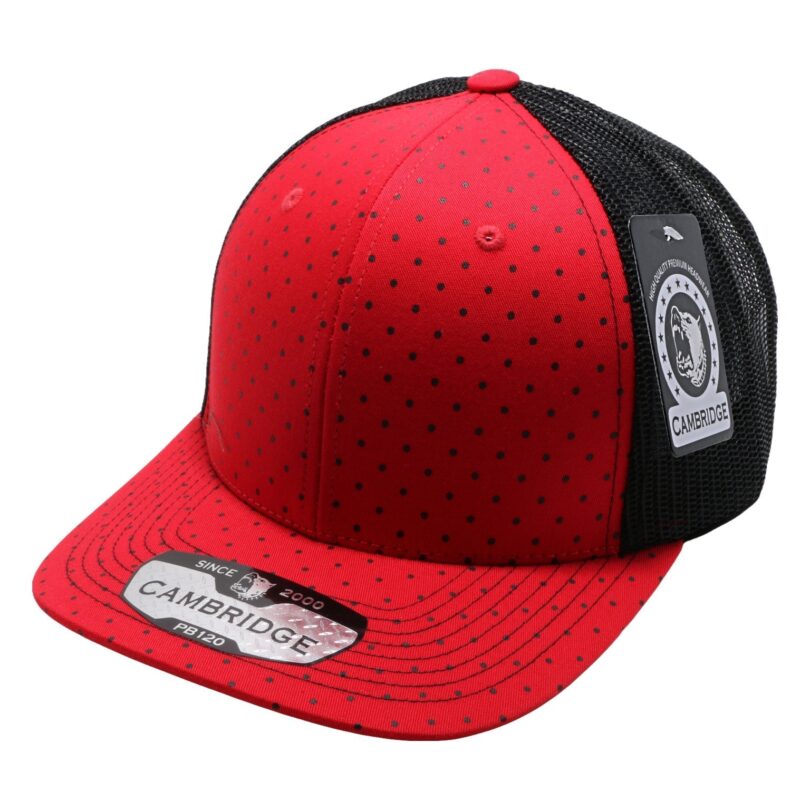 PB120C  Polkadot Trucker - Image 3