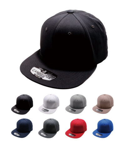PB134 Stretch Fit Flat Visor
