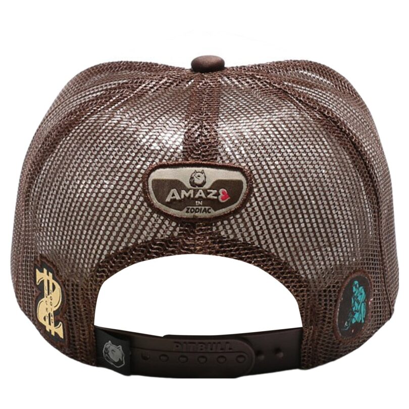 Amaze in Zodiac Sponge Trucker - Image 291