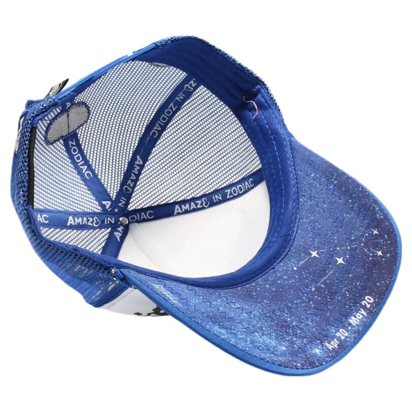 Amaze in Zodiac Sponge Trucker - Image 402