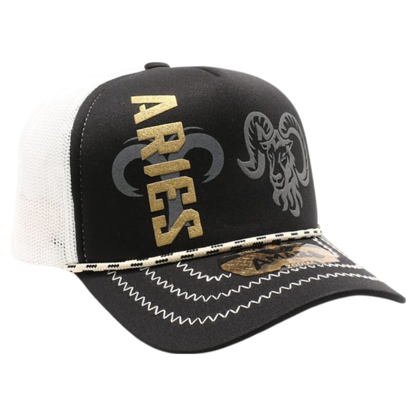 Amaze in Zodiac Sponge Trucker - Image 419