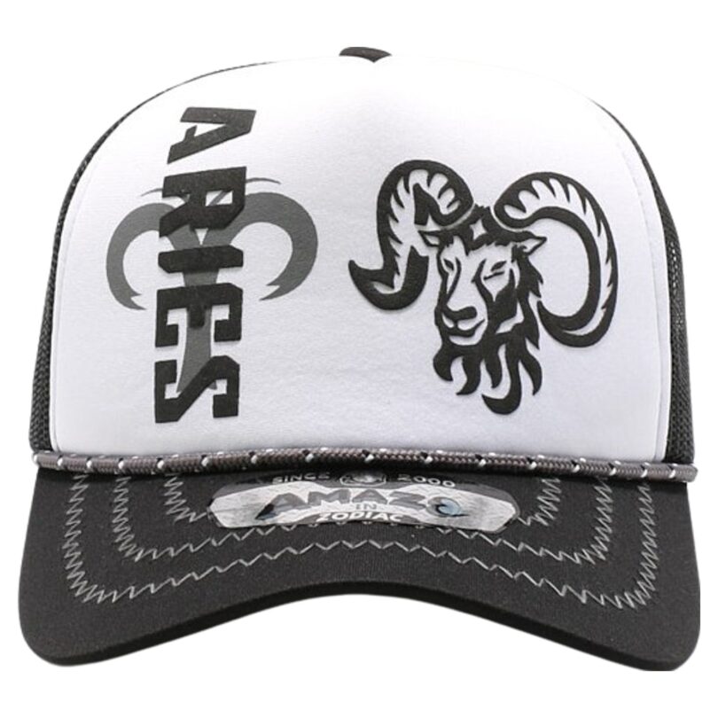 Amaze in Zodiac Sponge Trucker - Image 271