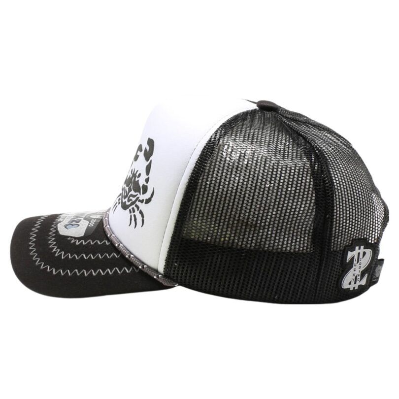 Amaze in Zodiac Sponge Trucker - Image 254
