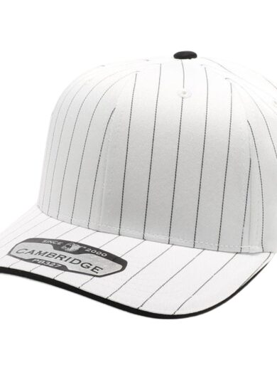 PB327 6-Panel Pinstripe Snapback Hat (White/Black)