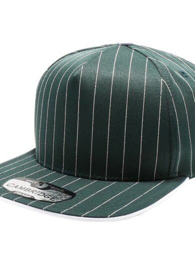 PB328 5-Panel Pinstripe Snapback Hat (D.Green/White)