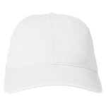 R Dad Cap